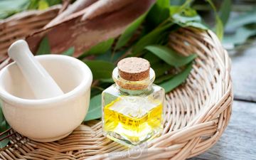 فواید روغن اکالیپتوس برای تنفس بهتر؛ راهکاری طبیعی برای کاهش مشکلات تنفسی