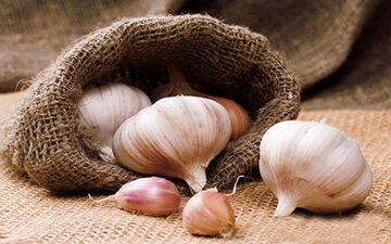 مصرف سیر چه فواید و خطراتی به همراه دارد؟