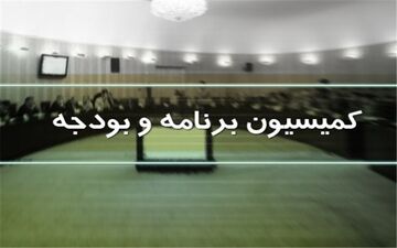 تشکیل ۳ کمیته تخصصی جدید در کمیسیون بودجه مجلس
