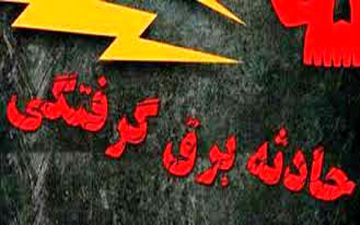 برق گرفتگی مرگبارد ر کرمانشاه