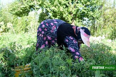 photo_ (7)