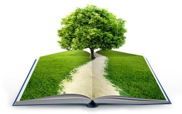دستاوردهای دانشگاه‌ها در حوزه مدیریت سبز رونمایی می شود
