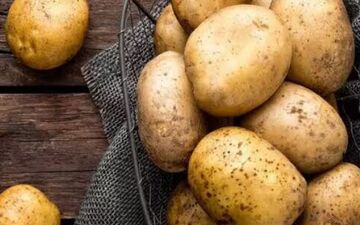 آشنایی با فواید بی‌نظیر سیب زمینی
