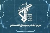 دستگیری وطن‌فروش در ری به‌دست سربازان گمنام امام زمان (ع)