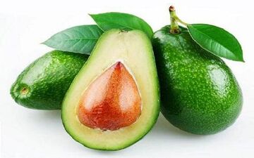 
این گیاهان پوست را لطیف و نرم و شاداب می کنند