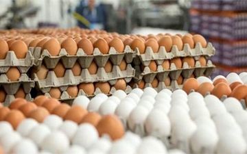 
قیمت مرغ، تخم‌مرغ، لبنیات و روغن تغییر خواهد کرد