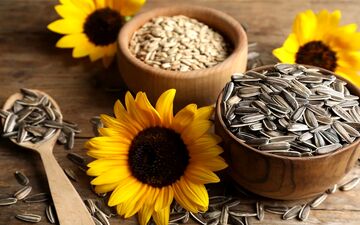 خوردن تخمه چه مضراتی دارد؟