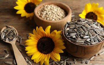 خوردن تخمه چه مضراتی دارد؟