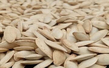 مراقب این میان‌وعده سالم باشید؛ یک مشت تخمه کدو چند کالری دارد؟
