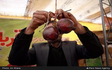 برگزاری همزمان سومین نمایشگاه یلدا با اولین جشنواره شکرانه محصولات کشاورزی