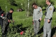 پایان ماجراجویی سوداگران در بیستون؛ نابودی مزارع مخفی خشخاش در قلب پناهگاه حیات وحش