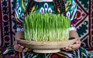برای عید نوروز؛ روش کاشت سبزه ریحان در اشکال مختلف