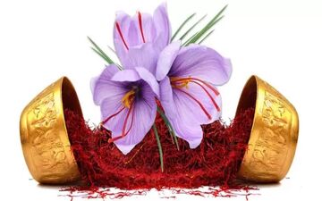 چه موقع از سال زعفران بخریم؟ + لیست قیمت انواع زعفران
