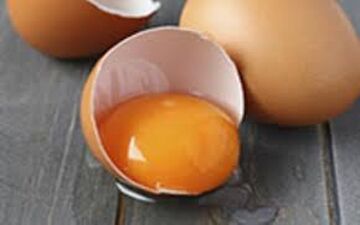سفیده تخم مرغ بهتر است یا زرده؟

