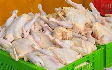 قیمت واقعی گوشت مرغ برای مصرف‌کنندگان باید ۲۷ هزار و ۵۰۰ تومان باشد
