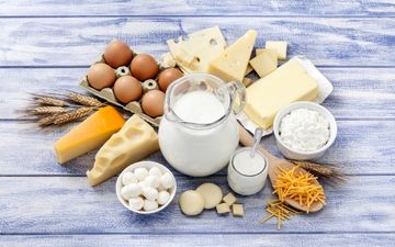 ارتباط بین مصرف لبنیات و التهاب دستگاه گوارش