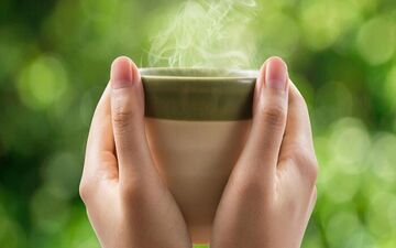چگونه بهترین بهره را از چای سبز ببریم؟