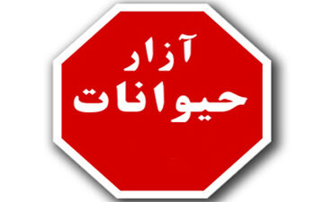 کشیدن وحشیانه سگ بی پناه با خودرو ال 90 +فیلم