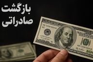ارز ۱۰۰ میلیارد دلاری گم نشده؛ اتاق بازرگانی از موانع ارزی گفت