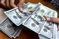 جدیدترین وضعیت بازار ارز؛ سقوط قیمت دلار آغاز شد