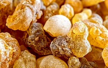 کُندر و رابطه آن در کاهش مشکلات کبدی و کلیوی