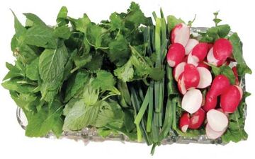 ممنوعیت فروش سالاد و سبزی خوردن خانگی در غذا فروشی ها/ الزام برای درج آرم استاندارد داخل جعبه‌های پیتزا