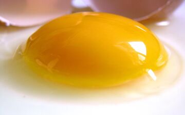 تخم مرغ را با این ادویه بخورید خاصیتش چند برابر می شود