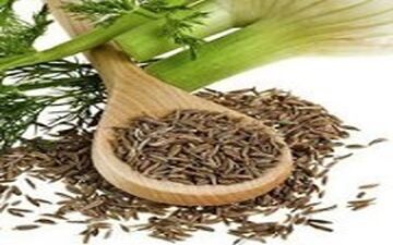 از خواص بی نظیر رازیانه بیشتر بدانید