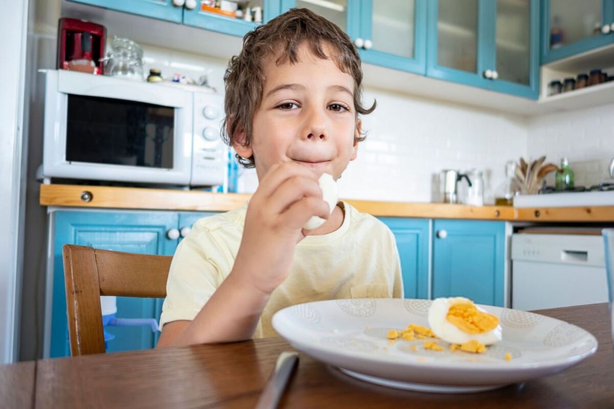 فواید تخم مرغ برای کودکان و نکات مهم مصرف آن