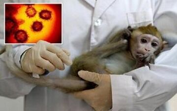 علائم اولیه ابتلا به آبله میمون 
