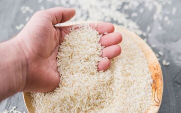 جدول جدیدترین قیمت برنج ایرانی در بازار / کیلویی چند؟!
