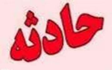 عکس سلفی قربانی گرفت