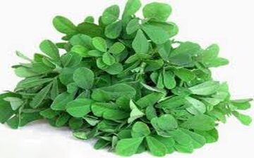 لاغری آسان با مصرف شنبلیله

