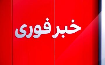 ورود اولین دسته از پهپادهای ایران به سرزمین‌های اشغالی و واکنش شهرک نشینان صهیونیست! + ویدئو