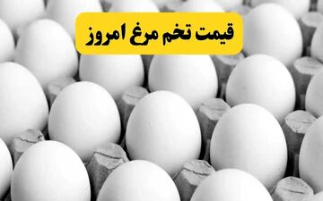 افزایش شدید قیمت تخم‌مرغ؛ نرخ تازه هر کیلو اعلام شد