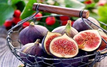 بررسی علمی یک شایعه؛ در انجیری که می خورید، زنبور مرده وجود دارد؟