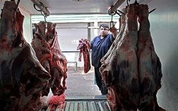 گوشت اواسط اردیبهشت ارزان می‌شود