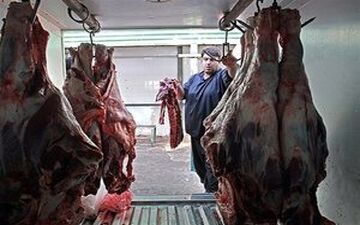 گوشت اواسط اردیبهشت ارزان می‌شود
