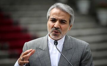 واکنش تند سخنگوی دولت به پشیمانی سلبریتی ها + فیلم