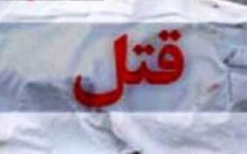 راز قتل جواد در تصادف مرتضی، قتل به خاطر ...