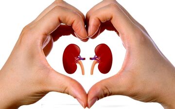 از کجا بفهمیم مشکل کلیه داریم؟