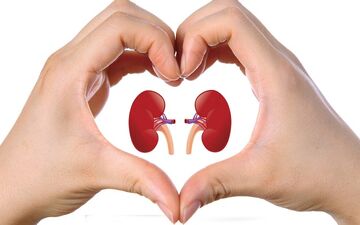از کجا بفهمیم مشکل کلیه داریم؟