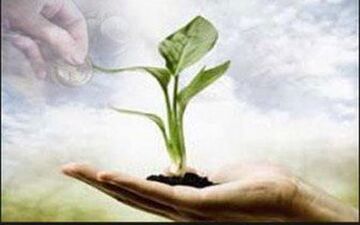 
اثرات صدقه در زندگی انسان
