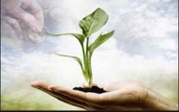 
اثرات صدقه در زندگی انسان
