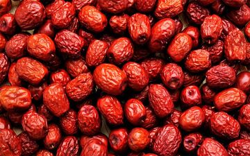 عناب، میوه‌ای شگفت‌انگیز با ۱۶ خاصیت برای سلامتی