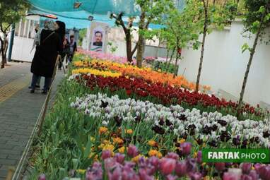 گزارش تصویری از پیاده راه لاله برای مادران 