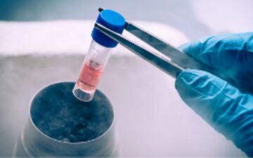 در مورد فریز تخمک بیشتر بدانید!