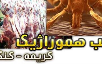 
مرگ مادر باردار با بیماری تب کنگو در حال بررسی
