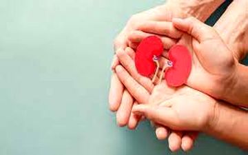 این علائم یعنی در معرض بیماری‌های کلیوی هستید 