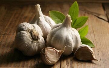 برای استفاده از خواص واقعی سیر آن را خام بخوریم یا پخته؟
